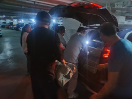 1699897820170701.png 877afd7aa9394bbeaf503c57e280d6b.png